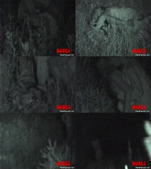 3203 SR Japanese Russian Rape Video - Japanese Russian Rape Video